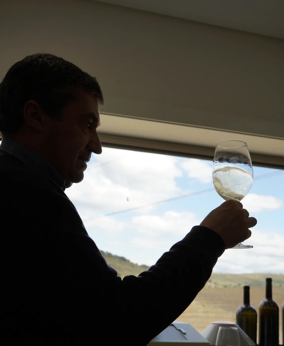 Taça de vinho em prova, vista contra a luz