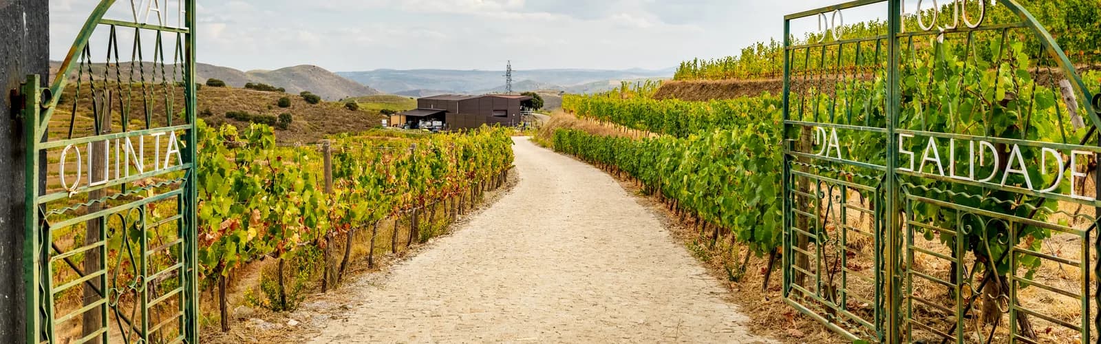 Vinhas do Côa