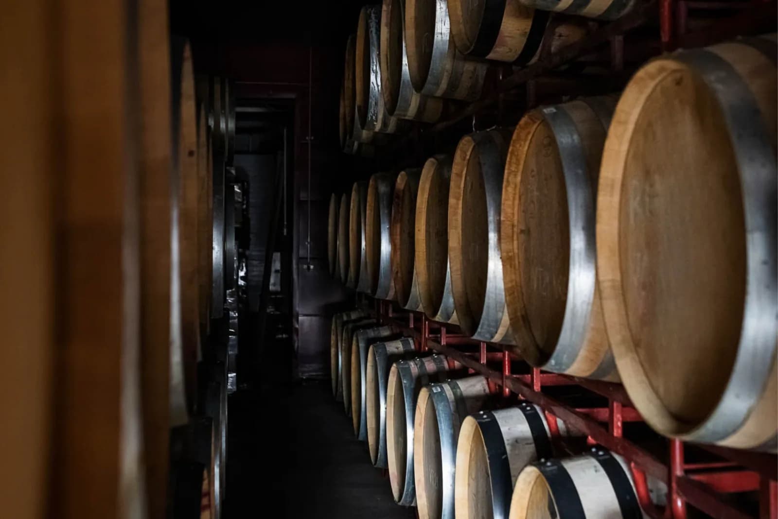 Quinta do Palato entre as vinhas de Muxagata