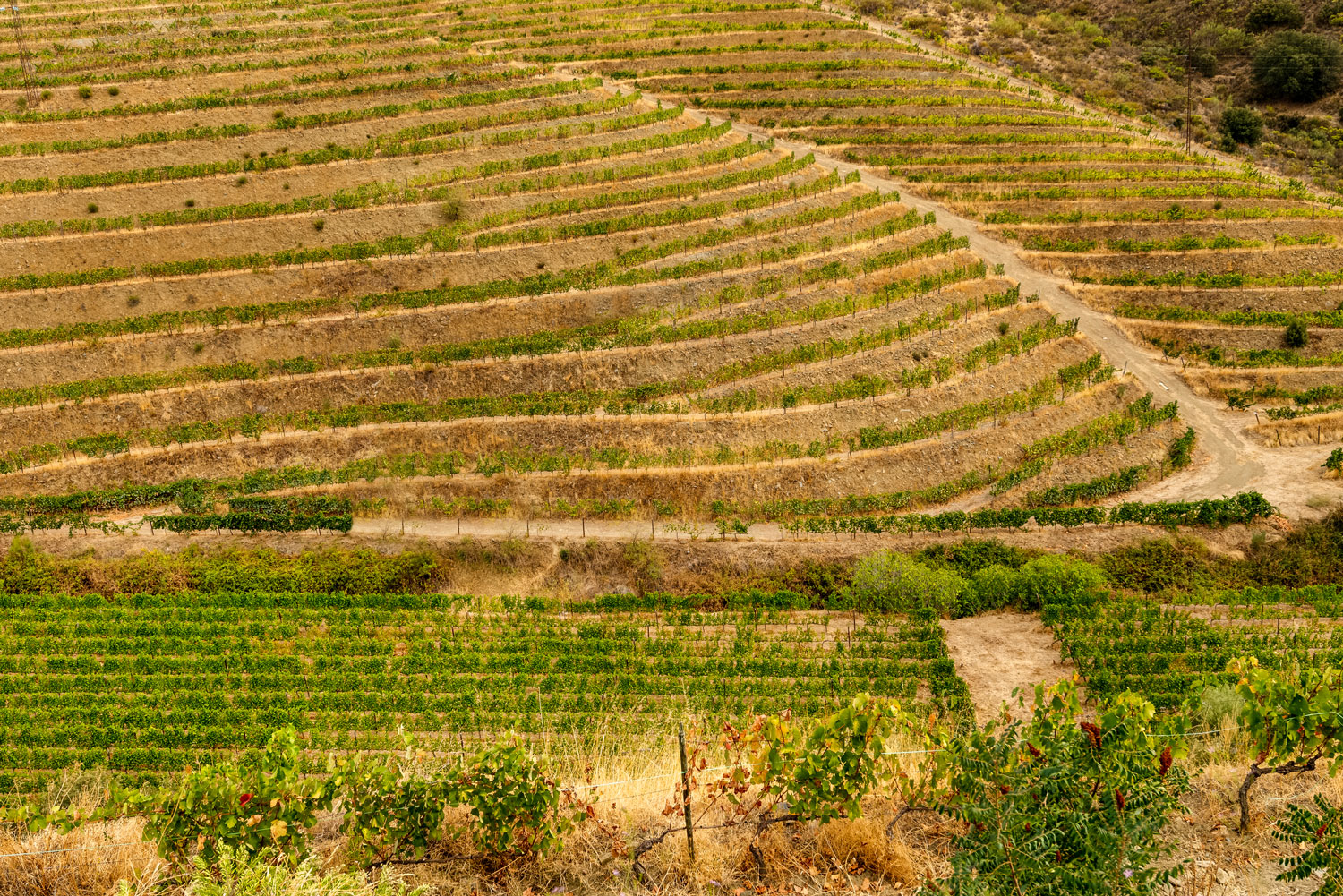 Paisagem do Douro Superior — Vale do Côa