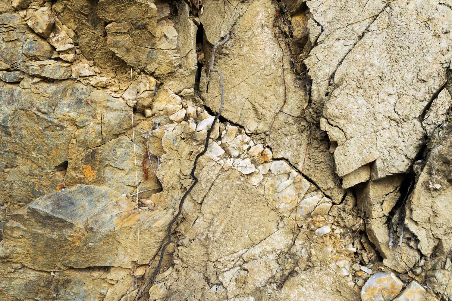 Terraços da Quinta da Saudade — vinha no Douro Superior