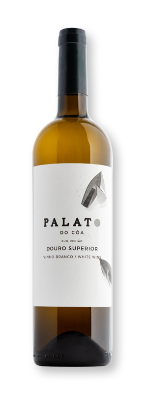 Garrafa Palato do Côa Branco - Vinho branco Douro Superior Portugal